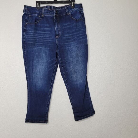 Terra & Sky Size 2X (20-22) Cropped High Rise Capri Elastic Waist Jeans - Picture 1 of 6